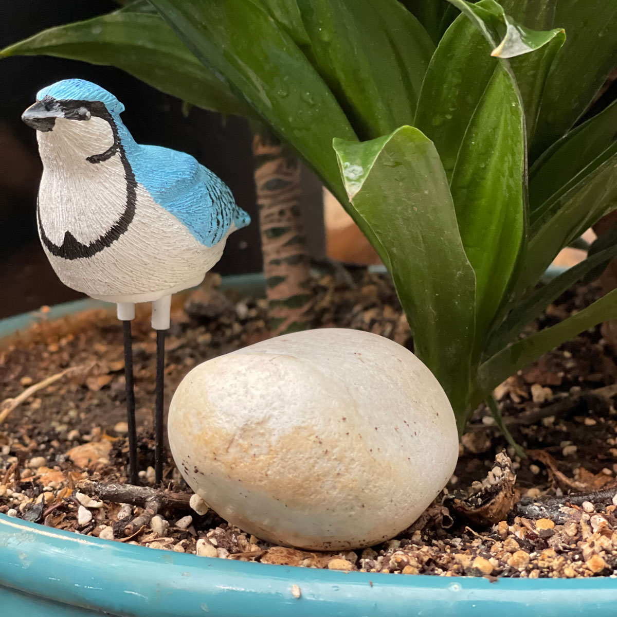 سنسور تشخیص زمان آبیاری گیاه Plant Pal طرح پرنده آبی سفید