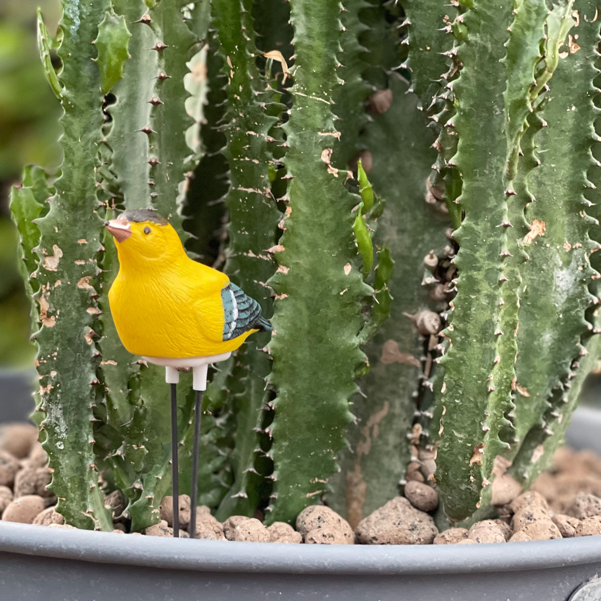 سنسور تشخیص زمان آبیاری گیاه Plant Pal طرح پرنده زرد